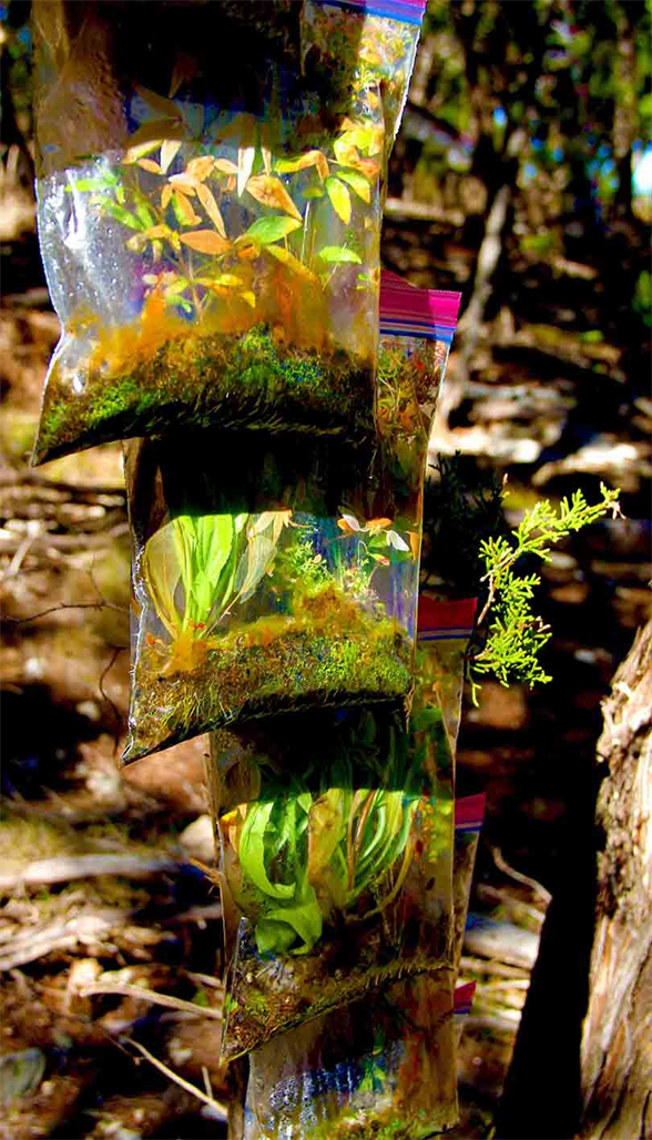 Artist Art Studio,
Living Art Project,
Explore The Studio,
Artist Fine Art Studio,