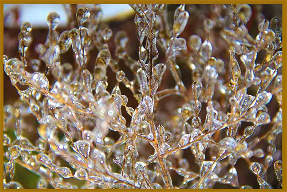 Museum ooo
Free Art Show