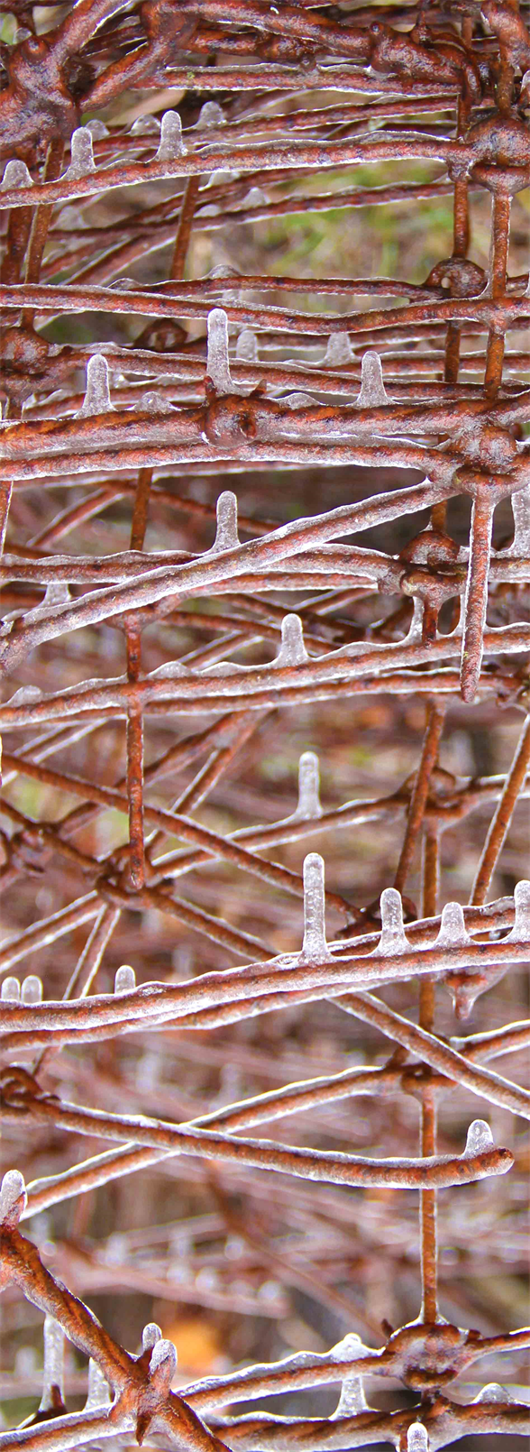 Art Gallery 
Art Gallery Exhibit