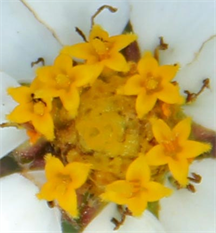 Fine Art Prints for Sale