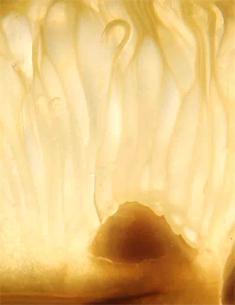 Order Your Art Prints,
Choose From Our Galleries,
Fine Art Photography Prints.