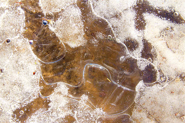 Photo: "Picasso"
Art Photography Exhibit.
Order Original Prints Here!